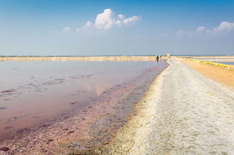 Scenic view of the road from Jaipur to Rann of Kutch, showcasing India's diverse landscapes, ideal for road trips.
