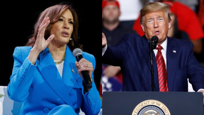 Trump Blasts Harris