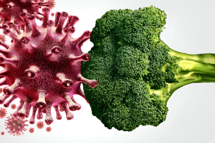 Colorful immune-boosting foods rich in vitamins