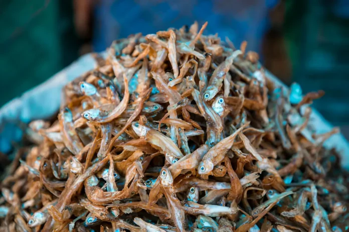 Various types of dried fish displayed on a wooden table